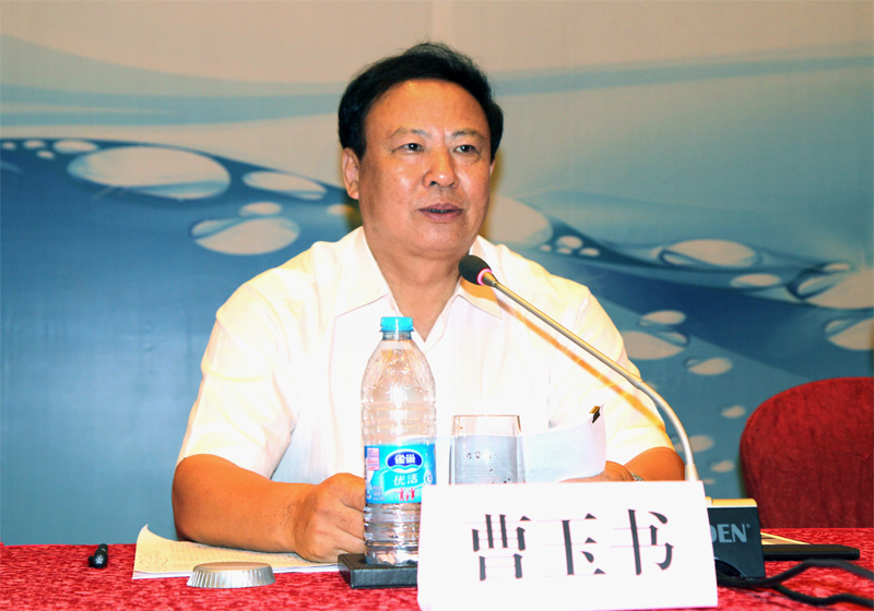 中施企協(xié)曹玉書會長出席會議并做主旨發(fā)言