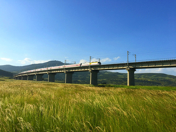 中鐵二局五公司參建的非洲第一條跨國標準軌現代電氣化鐵路通車