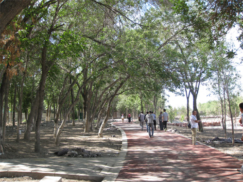 石河子首次使用的彩色瀝青路面給人們一種清新的感覺